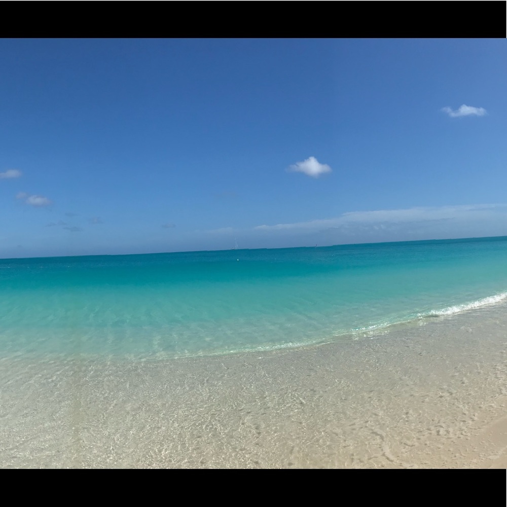 Meet your Posher, Dawn